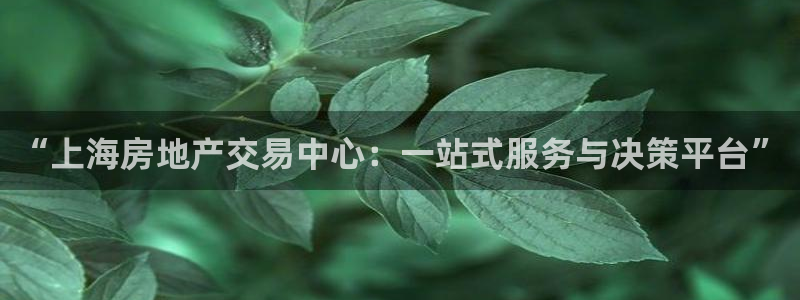 和木记手帕官网：“上海房地产交易中心：一站式服务与决策平台”