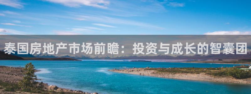 香港和记官网：泰国房地产市场前瞻：投资与成长的智囊团
