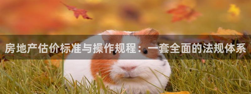 和记3电讯 官网：房地产估价标准与操作规程：一套全面的法规体