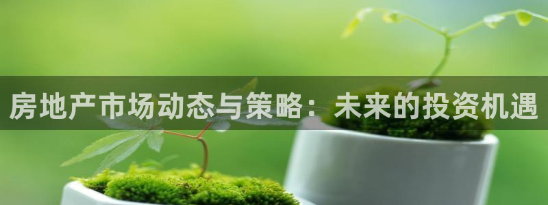 和记官网备用客户端：房地产市场动态与策略：未来的投资机遇