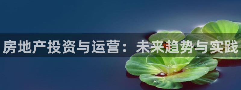 和记娱乐捕鱼官网：房地产投资与运营：未来趋势与实践