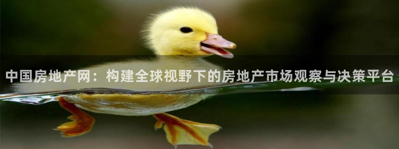 和记万佳官网：中国房地产网：构建全球视野下的房地产市场观察与