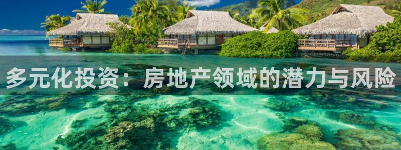和记港口信托官网：多元化投资：房地产领域的潜力与风险
