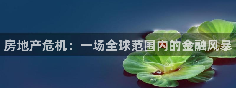和记官网h88：房地产危机：一场全球范围内的金融风暴