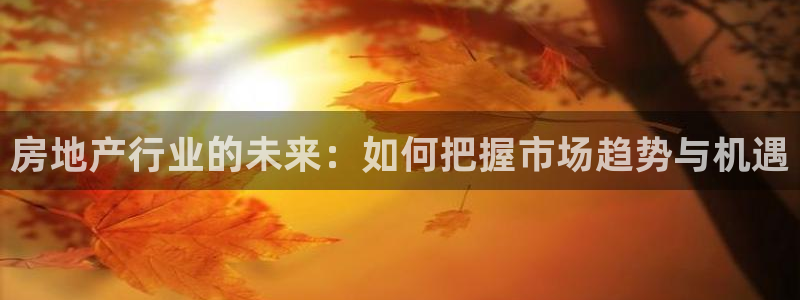 和记黄埔集团官网：房地产行业的未来：如何把握市场趋势与机遇