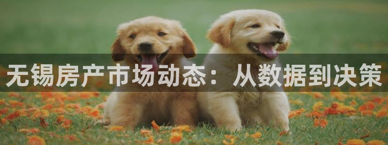 3g和记官网：无锡房产市场动态：从数据到决策