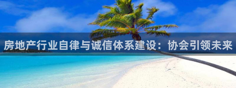 和记hgc官网：房地产行业自律与诚信体系建设：协会引领未来