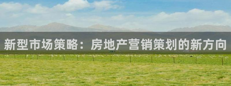 和木记官网：新型市场策略：房地产营销策划的新方向
