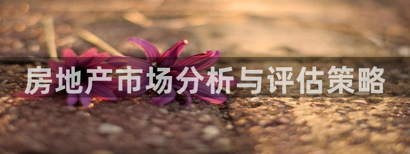 和记黄埔公司官网：房地产市场分析与评估策略