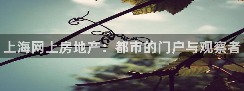 和记电讯澳门官网：上海网上房地产：都市的门户与观察者