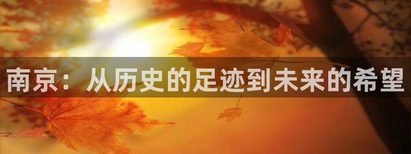 和记增值官网：南京：从历史的足迹到未来的希望