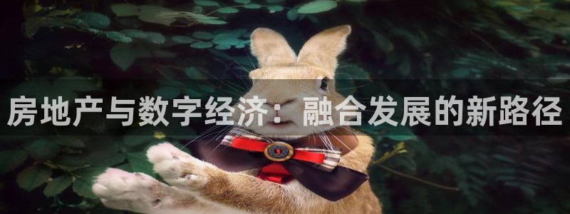 和记黄埔官网教育：房地产与数字经济：融合发展的新路径