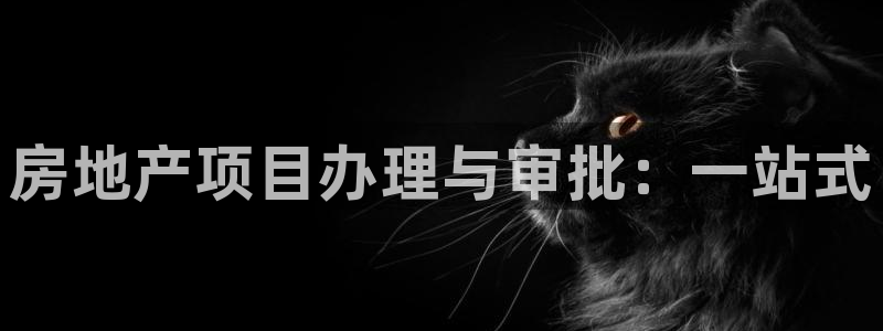 和记备用网官网开户：房地产项目办理与审批：一站式