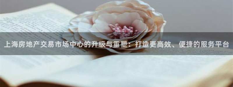 长江和记有限公司官网