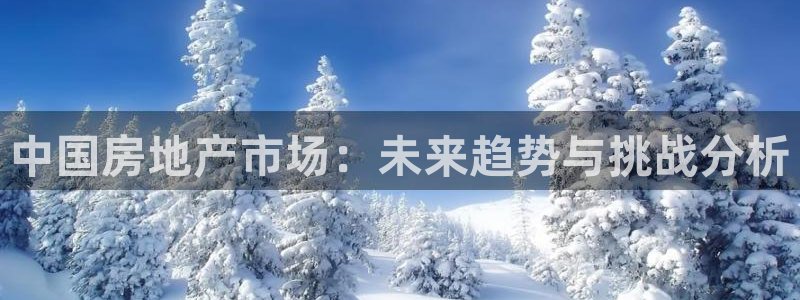 香港和记隆官网：中国房地产市场：未来趋势与挑战分析