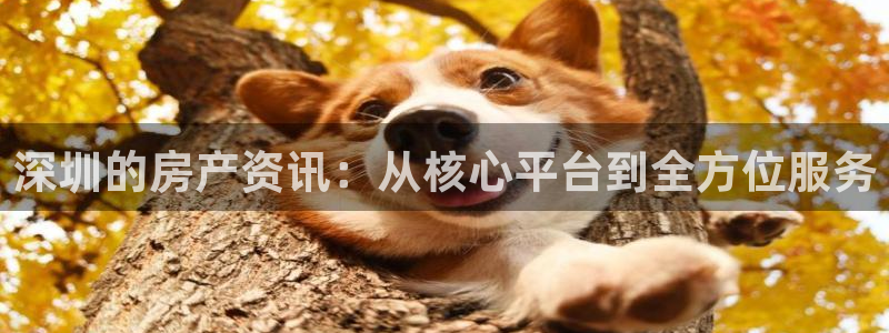 和记h1888怡情官网