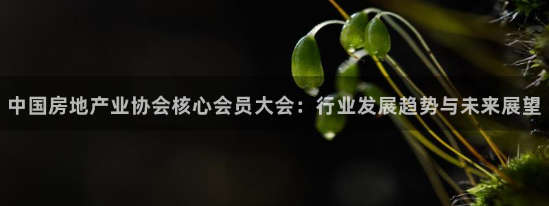 武汉和记黄埔官网：中国房地产业协会核心会员大会：行业发展趋势