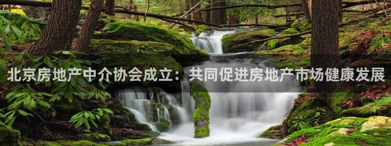 和记体育买球官网：北京房地产中介协会成立：共同促进房地产市场