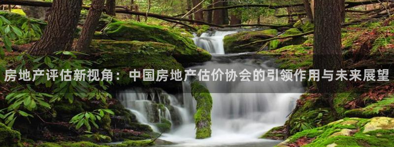 和记增值官网：房地产评估新视角：中国房地产估价协会的引领作用