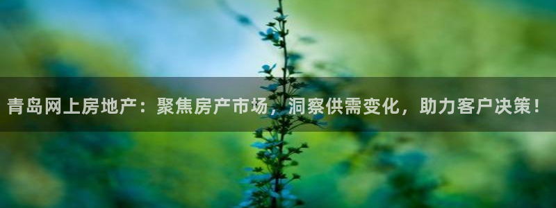 和记娱实惠h88285官网：青岛网上房地产：聚焦房产市场，洞