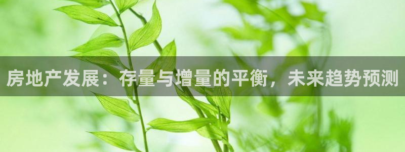 成都和记黄埔官网：房地产发展：存量与增量的平衡，未来趋势预测