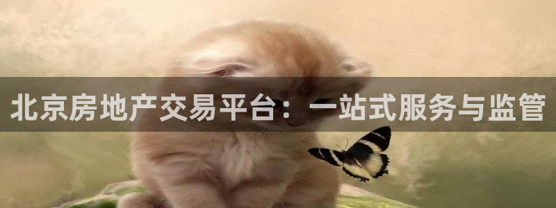 和记娱可信赖h88285官网：北京房地产交易平台：一站式服务