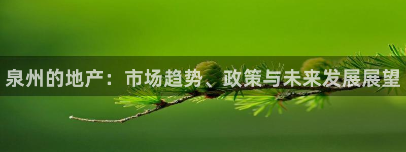 和记火爆官网：泉州的地产：市场趋势、政策与未来发展展望