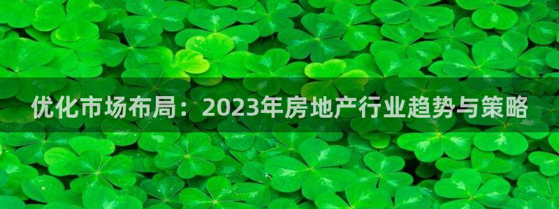 和记官网进入：优化市场布局：2023年房地产行业趋势与策略