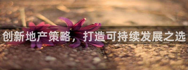 胡和记面官网：创新地产策略，打造可持续发展之选