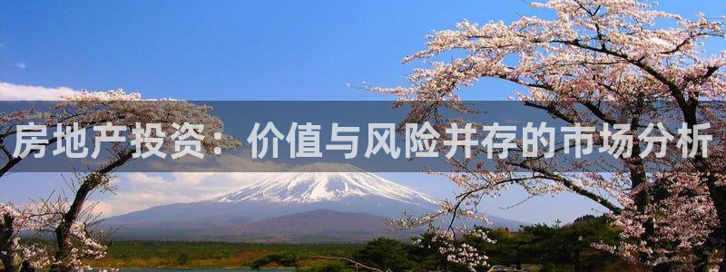 和记官网客服app：房地产投资：价值与风险并存的市场分析