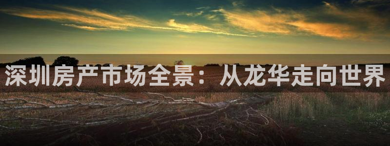 上海和记官网：深圳房产市场全景：从龙华走向世界