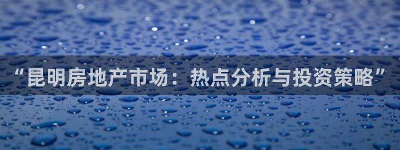 和记集团官网：“昆明房地产市场：热点分析与投资策略”