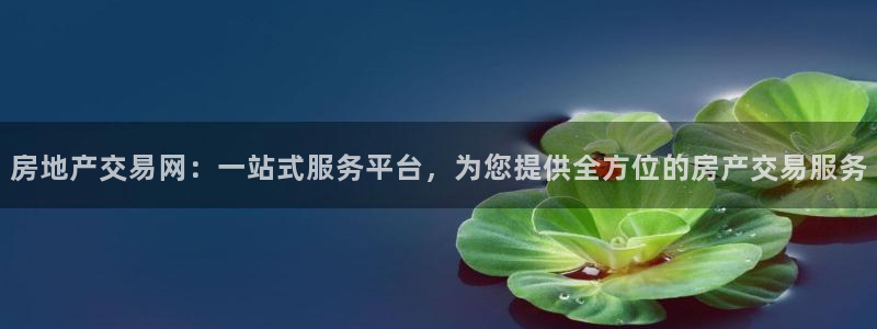 和记官网登陆：房地产交易网：一站式服务平台，为您提供全方位的