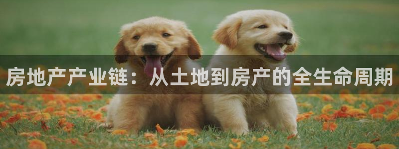 澳门3和记官网：房地产产业链：从土地到房产的全生命周期