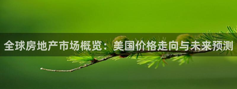 和记黄埔官网攻略：全球房地产市场概览：美国价格走向与未来预测