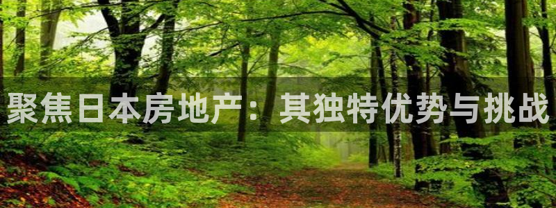 和记娱的确好h88285官网