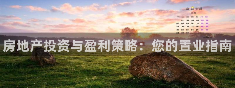 和黄记官网：房地产投资与盈利策略：您的置业指南