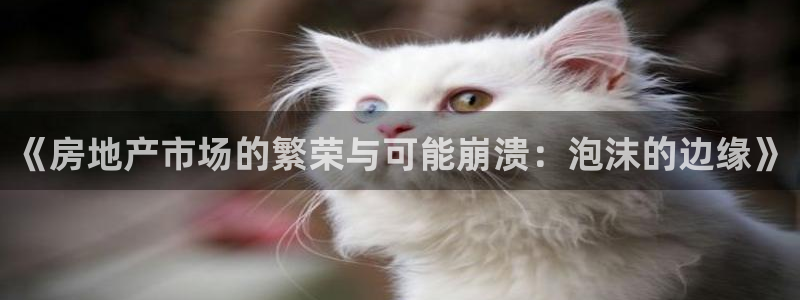 澳门和记电讯官网：《房地产市场的繁荣与可能崩溃：泡沫的边缘》