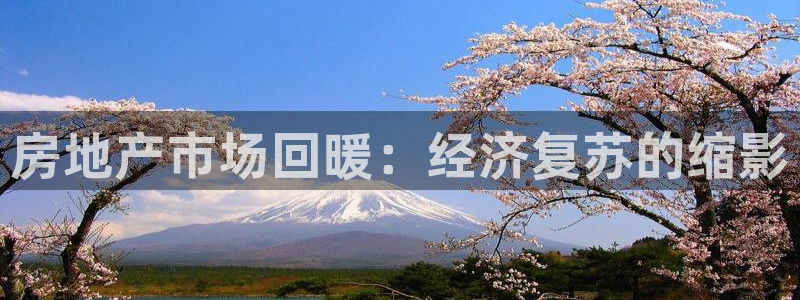 和记h188官网：房地产市场回暖：经济复苏的缩影