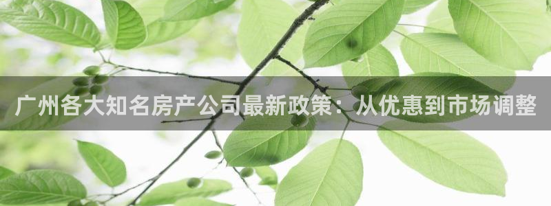 和记国际官网电话：广州各大知名房产公司最新政策：从优惠到市场