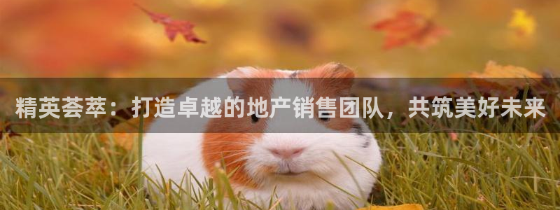 和记怡情h88官网中文版：精英荟萃：打造卓越的地产销售团队，