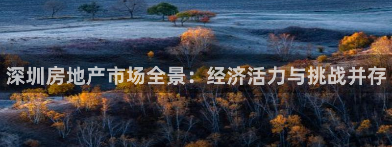 和记官网app是谁的：深圳房地产市场全景：经济活力与挑战并存
