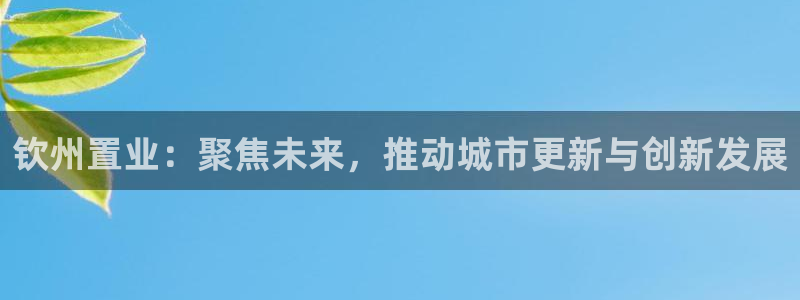 成都和记黄埔地产官网：钦州置业：聚焦未来，推动城市更新与创新