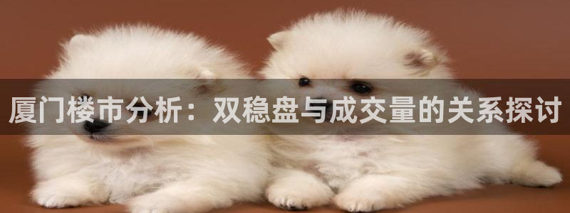 和记中国官网：厦门楼市分析：双稳盘与成交量的关系探讨