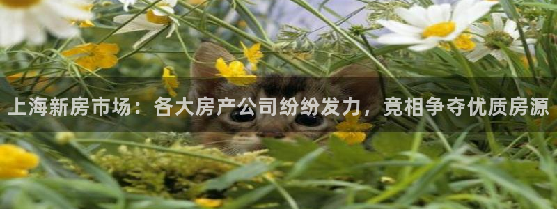 和记黄埔官网教育：上海新房市场：各大房产公司纷纷发力，竞相争
