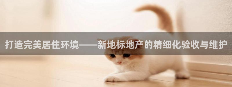 胡和记面官网：打造完美居住环境——新地标地产的精细化验收与维