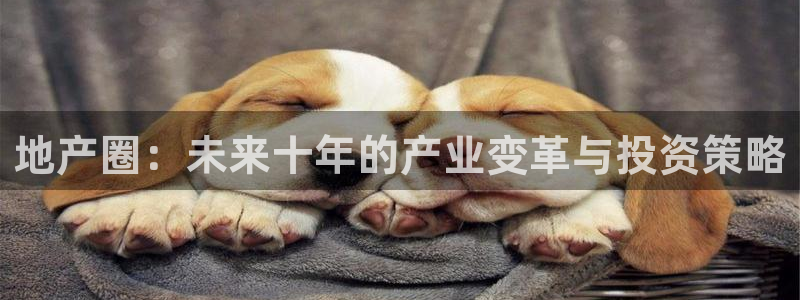 和记娱就问h88285官网：地产圈：未来十年的产业变革与投资