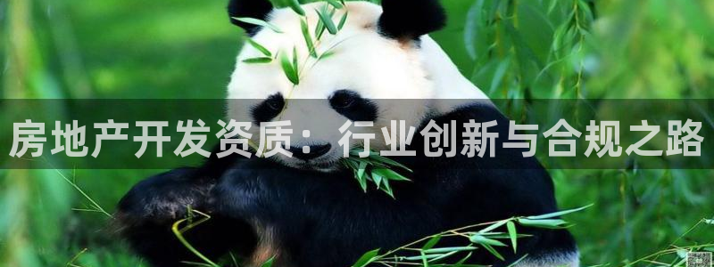 和记娱技精h88285官网：房地产开发资质：行业创新与合规之