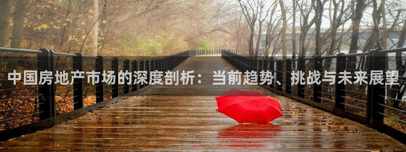 和记娱乐在线官网：中国房地产市场的深度剖析：当前趋势、挑战与