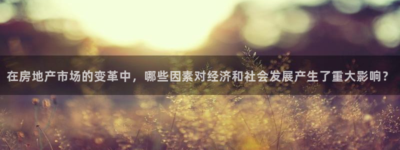 和记登录官网：在房地产市场的变革中，哪些因素对经济和社会发展